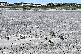 L1001020 -1_t.jpg